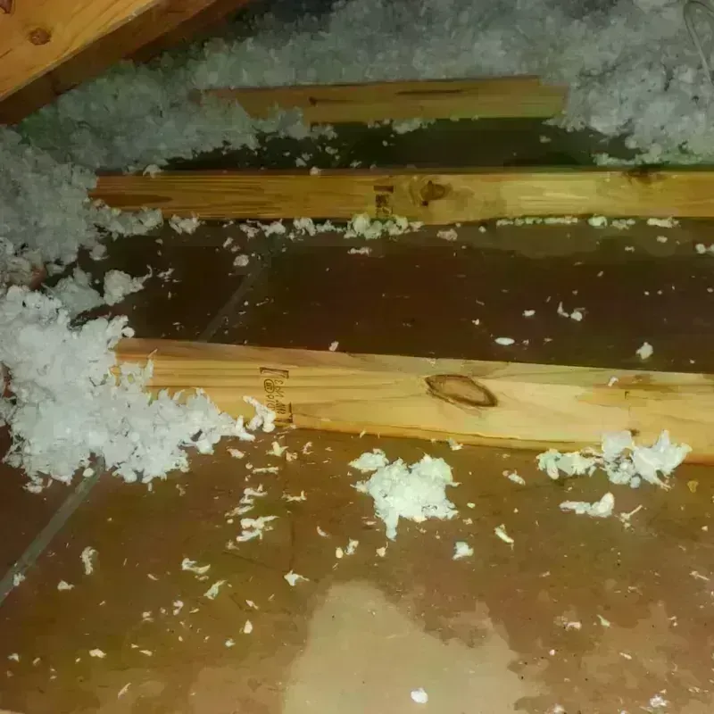 Attic Water Damage in Lancaster, MA