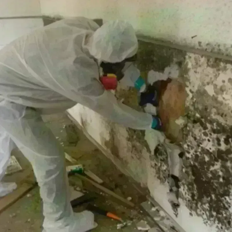 Mold Remediation and Removal in Lancaster, MA